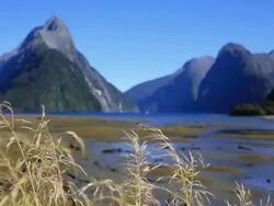HD Video of Milford Sound, New Zealand Stock Footage