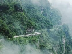 rainforest, the foot of Himalayas Stock Footage