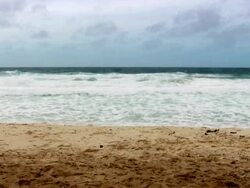 Grand Anse. HD Stock Footage