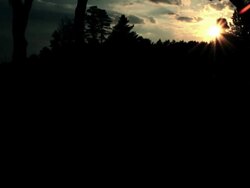 Runner-SloMo Silhouette Stock Footage