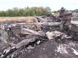 MH17 crash site in Grabovo News Clip