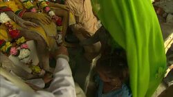 Festival participants bow and make offerings during a festival in India. Stock Footage