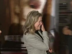 EVENT CAPSULE REPORTER/CHYRON: 'Where the Wild Things Are' New York Premiere Stock Footage