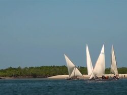 MS Five dhows sailing on sea at lamu island AUDIO / Lamu, Coast Province, Kenya Stock Footage