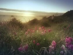 MS SLO MO POV TS Woman running on trail by Pacific Ocean / Port Orford, Oregon, United States Stock Footage