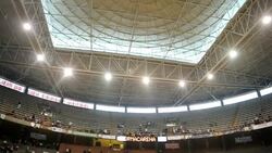 CLEAN : Animal rights protests News Clip