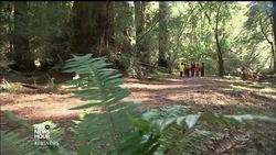 National parks turn into classrooms for a new generation News Clip