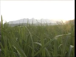 Deadly volcano has started to erupt, scientists say News Clip