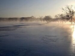 winter sunlight Stock Footage