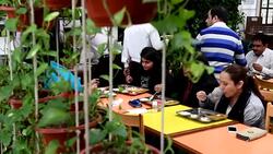 CLEAN : Alpine air at work Delhi eyes novel ways to battle smog News Clip