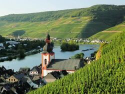 MS Valley town on the banks of the Moselle river / Bernkastel-Kues, Rhineland-Palatinate, Germany Stock Footage