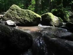 HD Crane: Rocky Stream in Forest Stock Footage