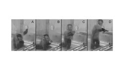 Laurie Santos: A monkey economy as irrational as ours Instructional Video