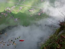Wing suit flier jumps from cliff and soars above valley below Stock Footage