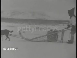 1940s: ALASKA: WS Alaska mountains w/ evergreens FG. Dogsled team pulling sled over snow. LS (POV Sled) Single line of sled dogs pulling. Iconic Alaska, transportation, fur trade, wilderness, frontier, Lifestyle. Instructional Video
