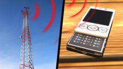 Mobile phone signals induce 'worker piping' in bees Instructional Video