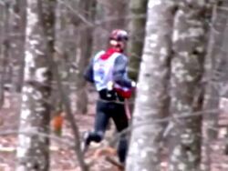 HD: Running Through The Forest Stock Footage