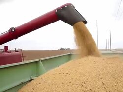 U.S. Farm Earnings Drop 14.6 Percent In Third Quarter AFter A Decline In Output Stock Footage