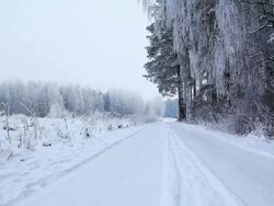 Winter road in HD Stock Footage