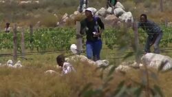 Police fire rubber bullets and water cannons on farm protest News Clip