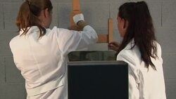CLEAN : Lab sleuths help art world uncover fakes News Clip
