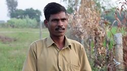 VOICED : La tribu de cazadores de serpientes que salva vidas en India News Clip