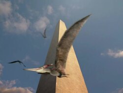 Low Angle static - Pterosaurs soar around Washington Monument in a computer-generated animation. / Washington, D.C., USA Stock Footage