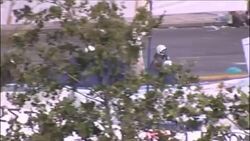 Protesters clash with riot police in strike, arrests News Clip