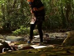 Wildlife Photographer taking picture of bird in the rainforest jungle Stock Footage