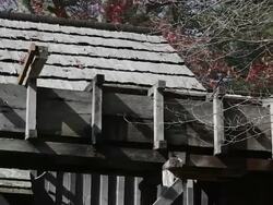 Water running to wheel of watermill Stock Footage