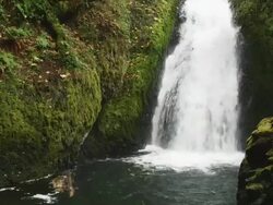 MS Shot of waterfall pours into hidden river canyon with lots of green moss / Hood River, Oregon, United States  Stock Footage