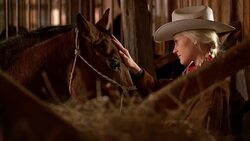 SLO MO DS Cowgirl stroking horse in stables Stock Footage