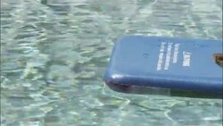 A coiled snake floats on a pool raft. Stock Footage