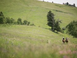 Two cowboys ride in country Stock Footage