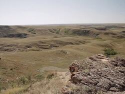 Little hills in a field in the prairies Stock Footage