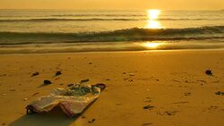 Garbage Pollutions on Dirty Beach at Sunset Stock Footage