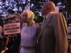 Activists Protest Use of Horse Carriages at Fashion Week Show Stock Footage