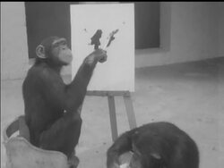 CHIMP'ARTY News Clip