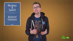 Why Can't Monkeys Talk Like Us? Instructional Video