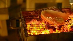 big white squad and rolled fish on barbecue at night Stock Footage