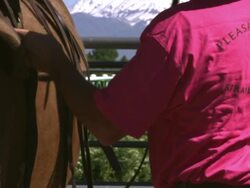 Tilting shot of a cowboy saddling a horse Stock Footage