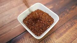 Quinoa reverse Stock Footage