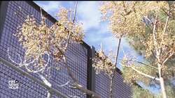 How Residents From El Paso Feel About Border Barriers News Clip