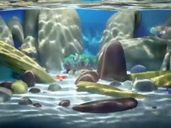 Saltwater Paradise Seamless loop Stock Footage