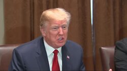 Trump Calls for Shutdown if No Immigration Deal News Clip