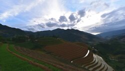 terraced rice field in Mu Chang Chai, Vietnam Stock Footage