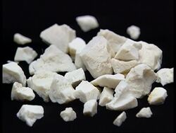 Japan - Fish toothpaste News Clip