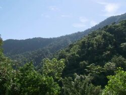 Green forested hills with blue sky, Sierra Nevada, Colombia Stock Footage
