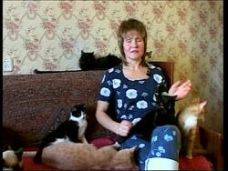 One cat fancier opens her home to abandoned felines News Clip