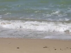 HD: Environmental Pollution Stock Footage